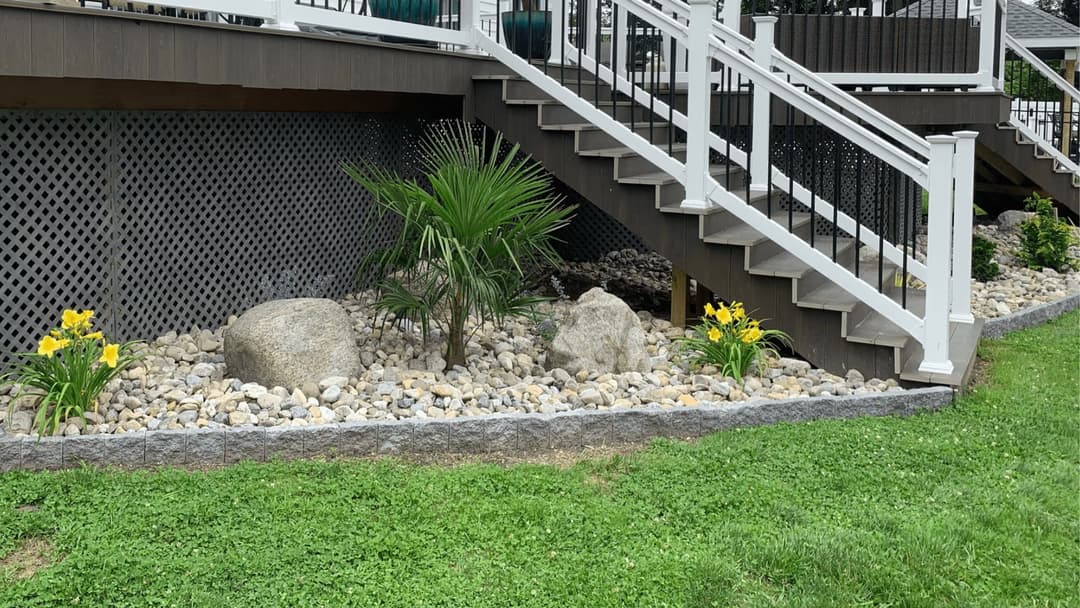 Landscaped area under stairs with rocks, yellow flowers, and a palm plant.