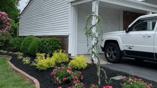 landscaped front yard with colorful flowers, shrubs, and a parked white Jeep Patriot.