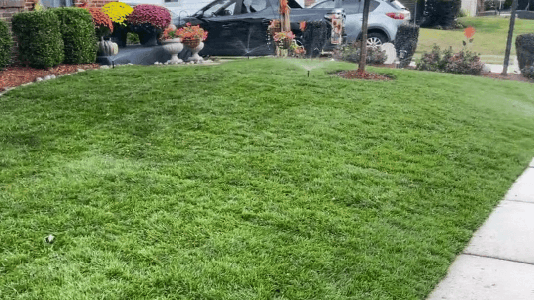 Well-manicured green lawn with flowerbeds and a car parked in the background.