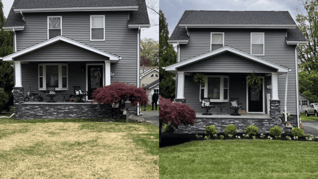 Professional Lawn Establishment for a Healthy, Green Lawn