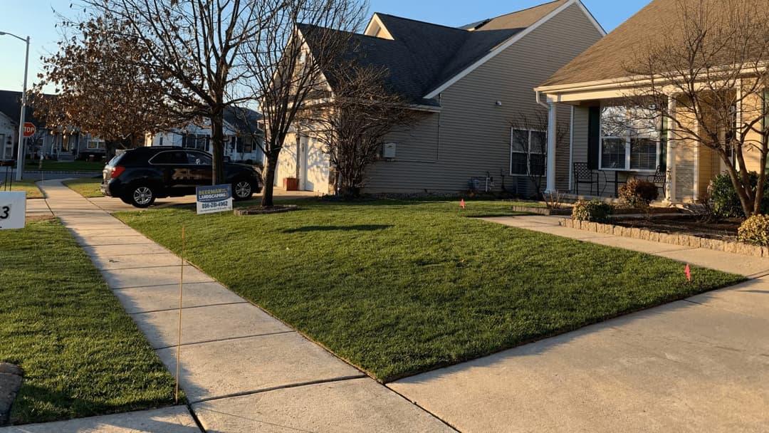 Well-maintained front yard with new green grass and concrete walkway beside two houses.
