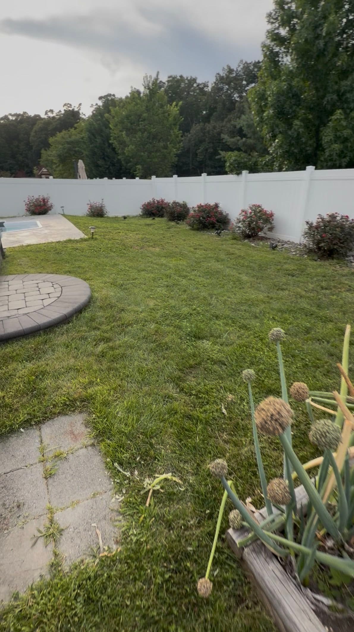 Gallery photos for New Homeowner Backyard Reset with Sod and Hardscaping: Image #7