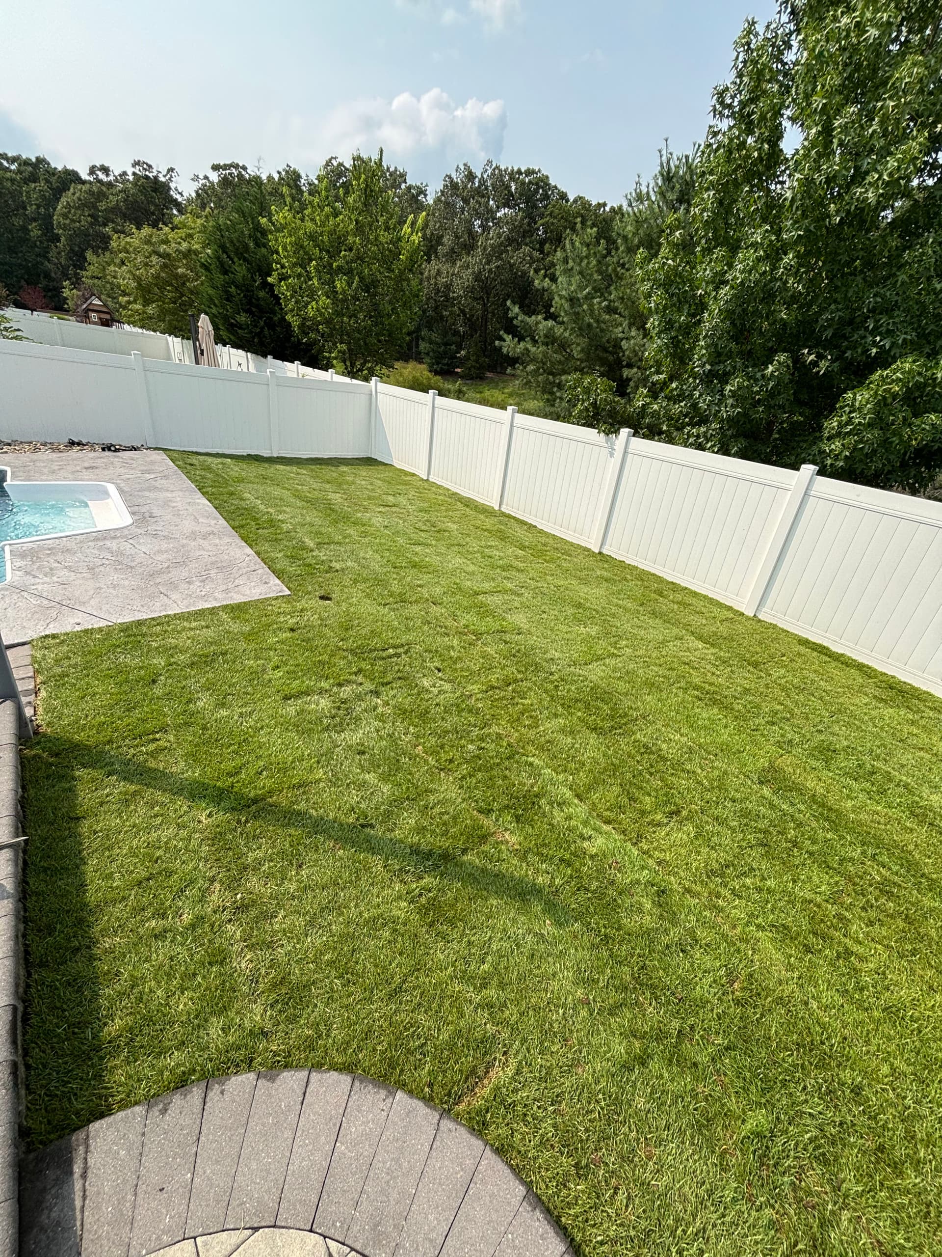 New Homeowner Backyard Reset with Sod and Hardscaping image