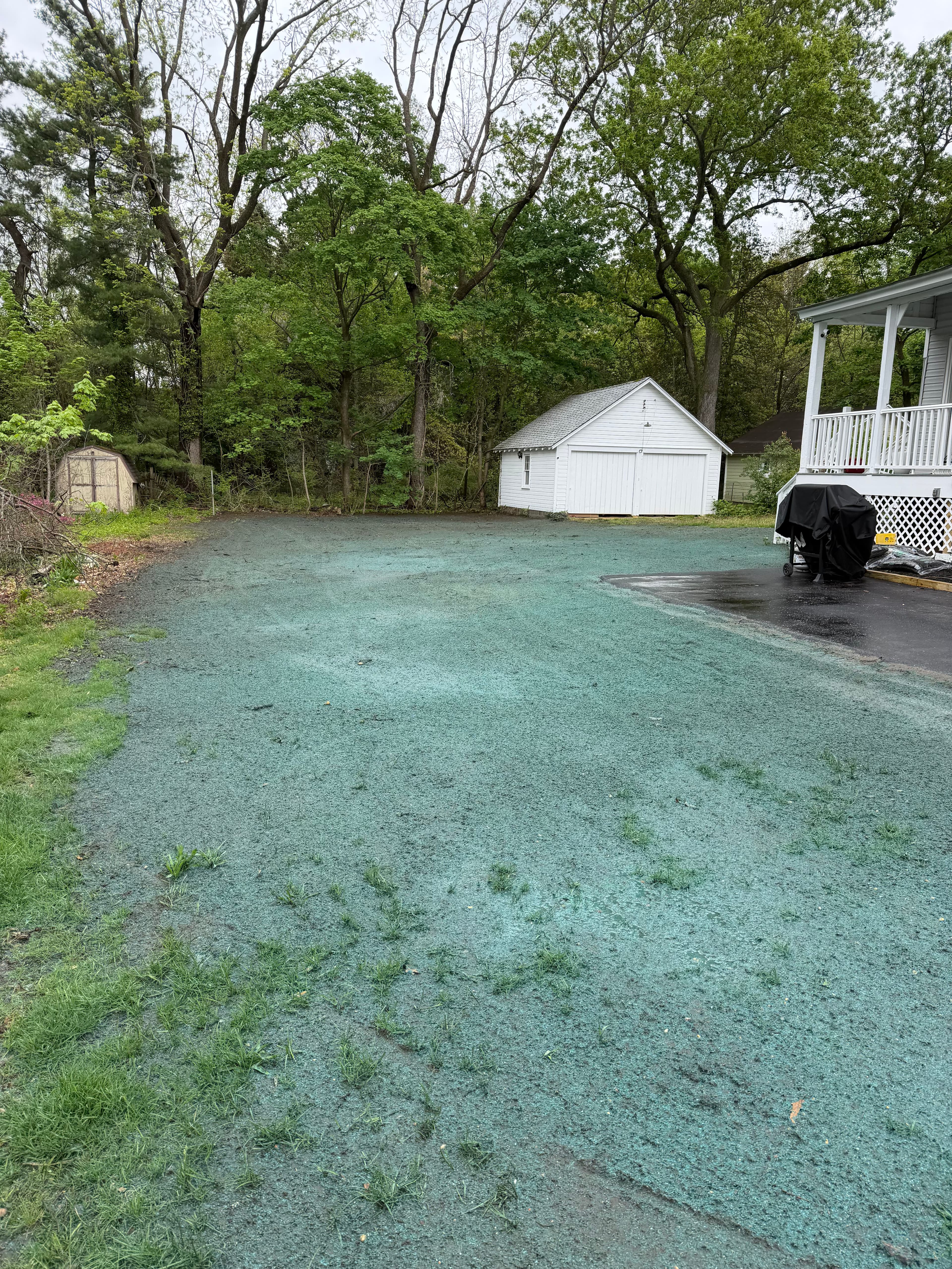 Project Hydroseeding a Bare Yard Back to Life image