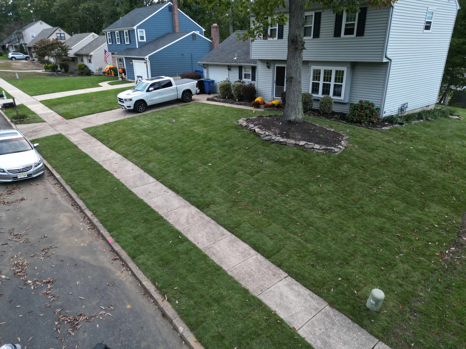 Gallery photos for 8,200 Sq. Ft. Sod Installation and Full Lawn Renovation in South Jersey: Image #4