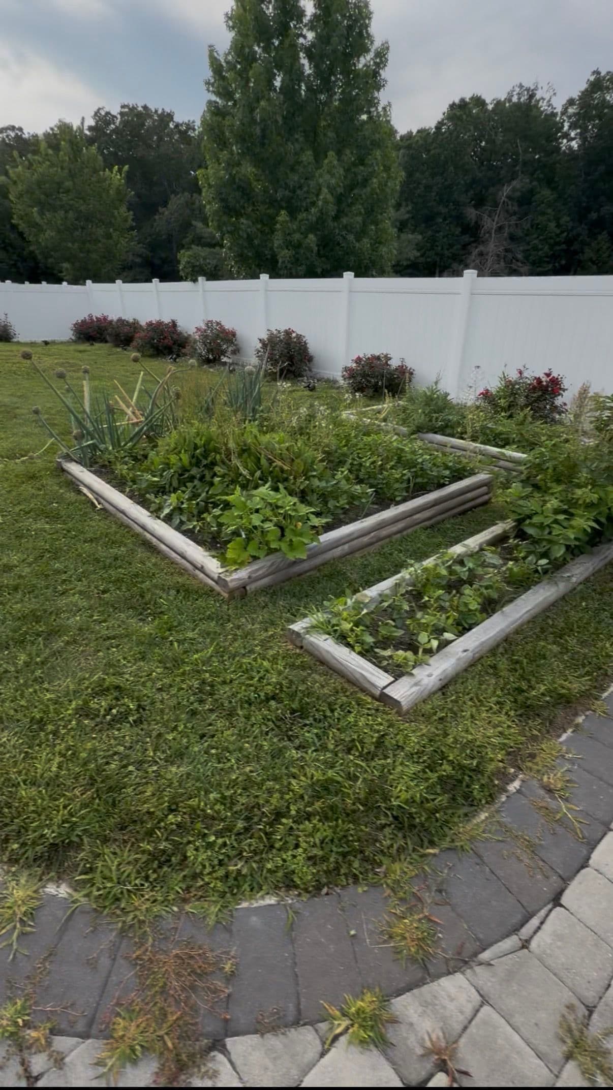 Gallery photos for New Homeowner Backyard Reset with Sod and Hardscaping: Image #8
