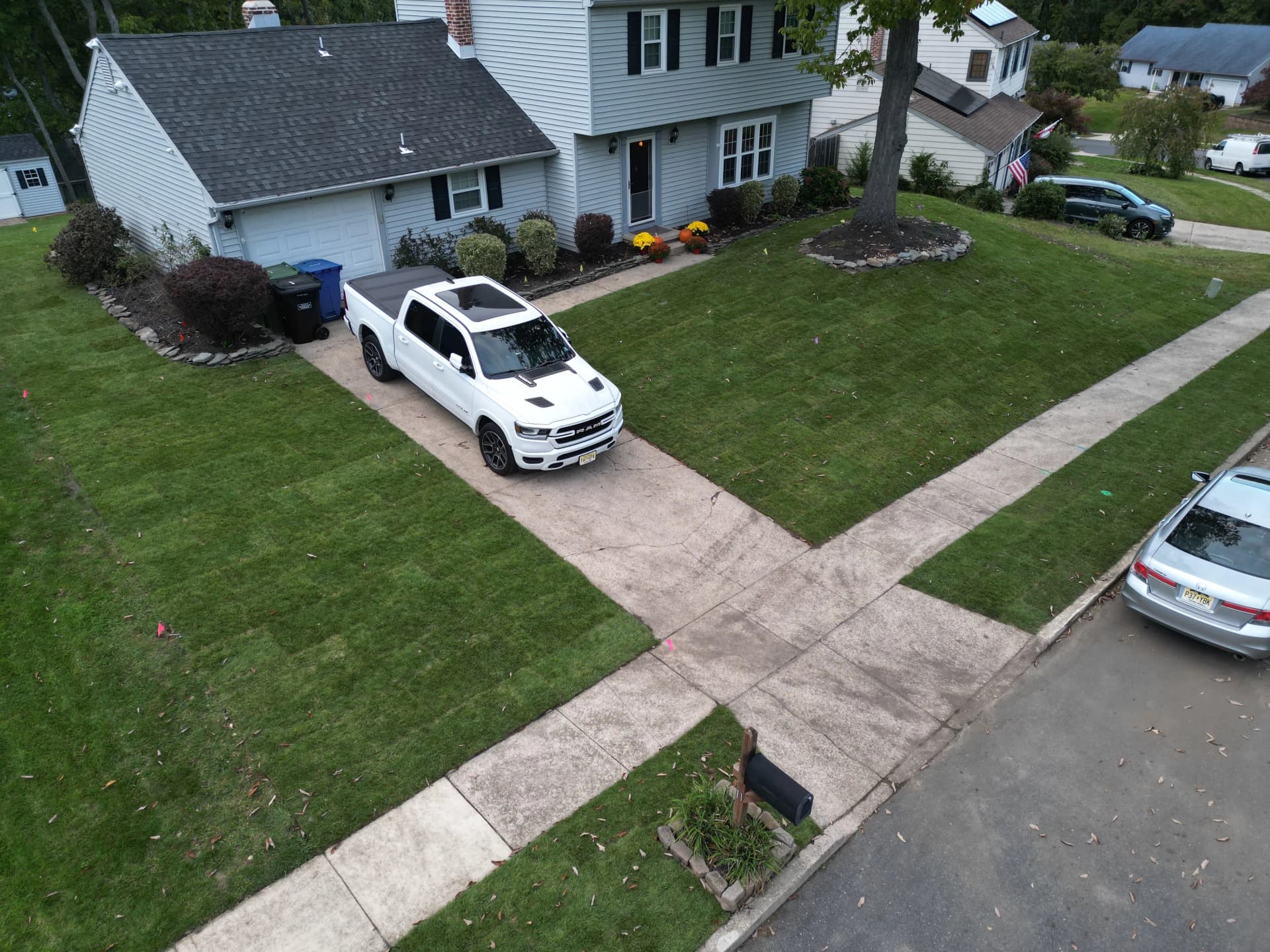 8,200 Sq. Ft. Sod Installation and Full Lawn Renovation in South Jersey image
