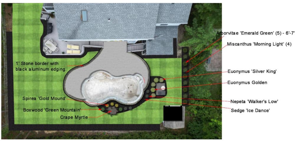 Landscape design plan featuring a pool, stone border, and various plant species.