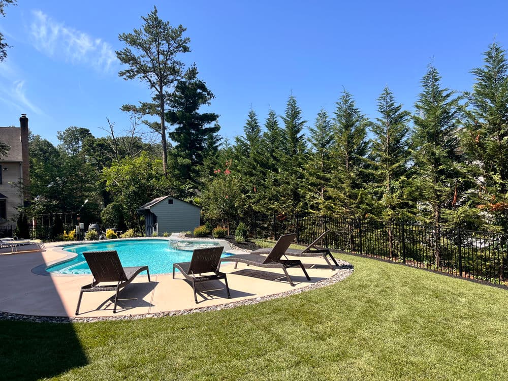 Sunny backyard with a pool, lounge chairs, and greenery surrounding a modern home.