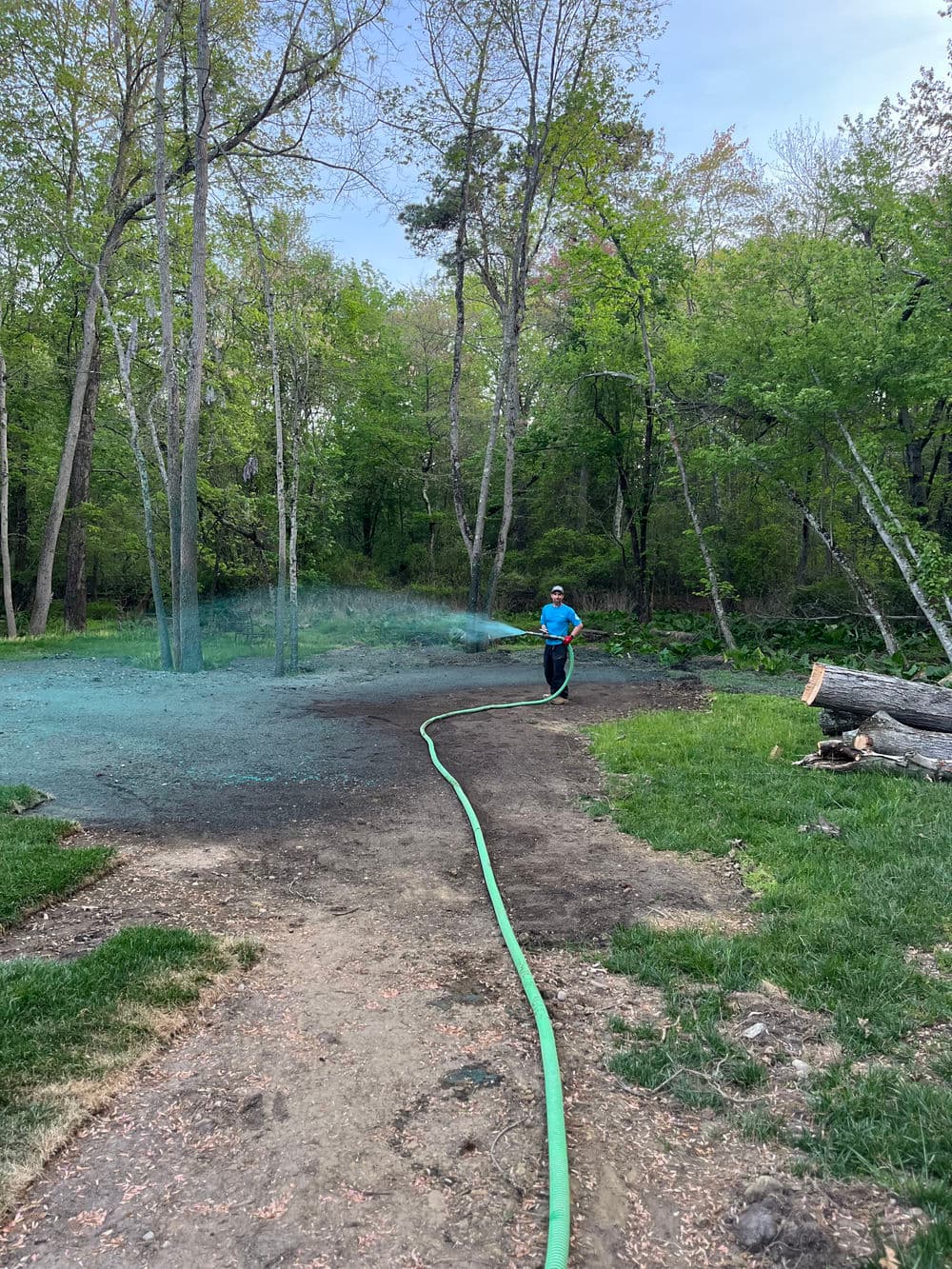 Person watering a garden with a hose in a lush green outdoor setting. Trees in the background.