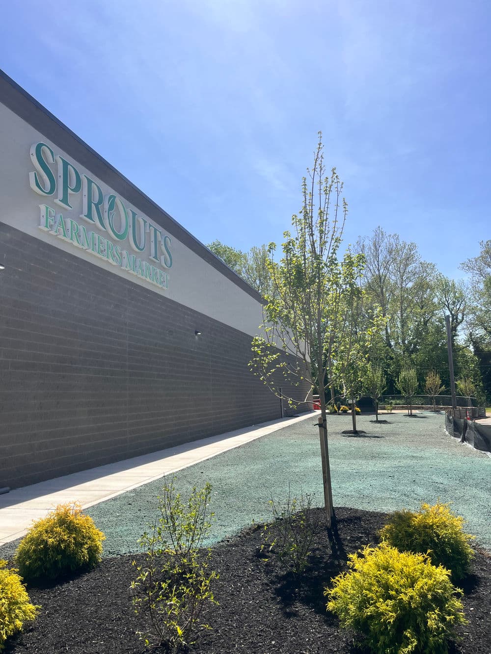 Sprouts Farmers Market exterior with green landscaping and bright blue sky.
