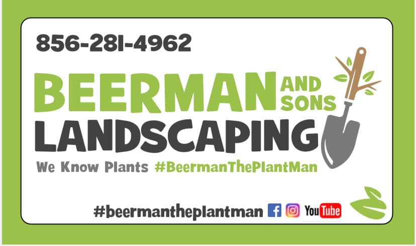 Gallery photos for Backyard Upgrade with Retaining Wall and Steps: Image #4